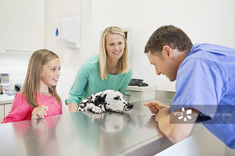 兽医和宠物主人在诊所检查狗图片素材