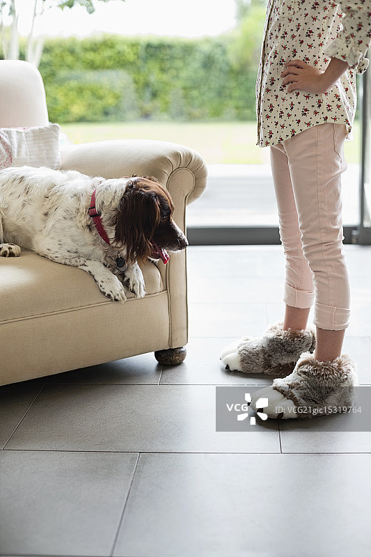 女孩在扶手椅上训斥狗图片素材