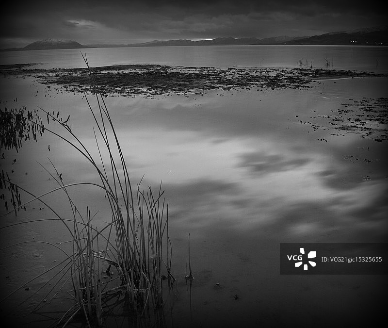 犹他湖岸线图片素材