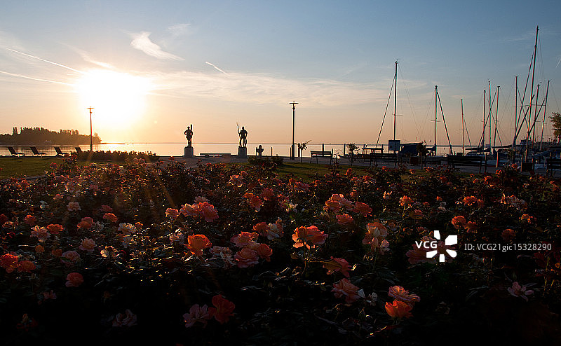 巴拉顿湖的清晨图片素材