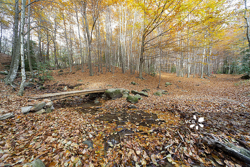 秋季的蒙塞尼图片素材