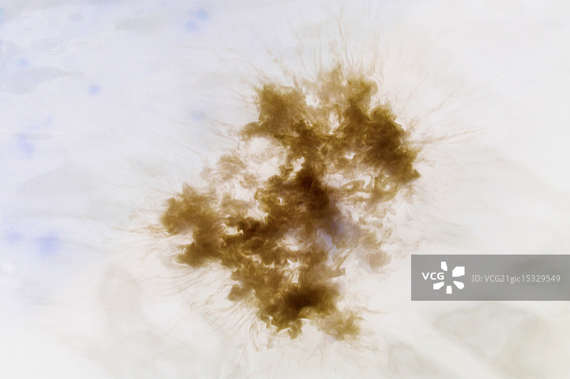 水中的牛奶图片素材