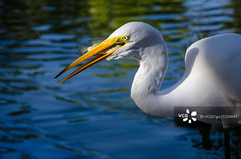 面对面图片素材