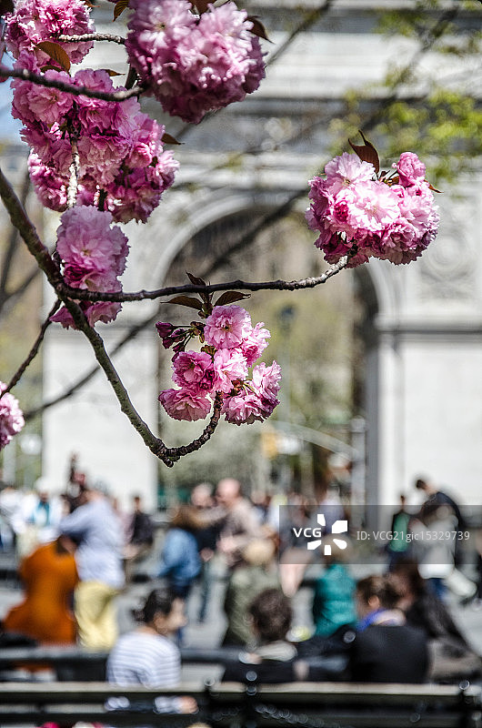 华盛顿广场公园图片素材