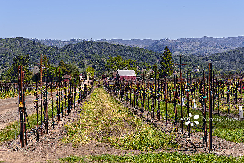 亚历山大谷农场与葡萄园图片素材