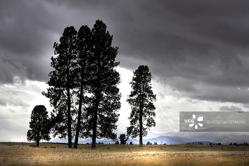 蒙大拿图片素材