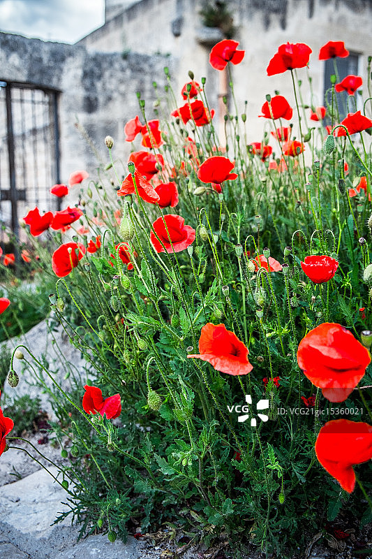 石头城马泰拉图片素材