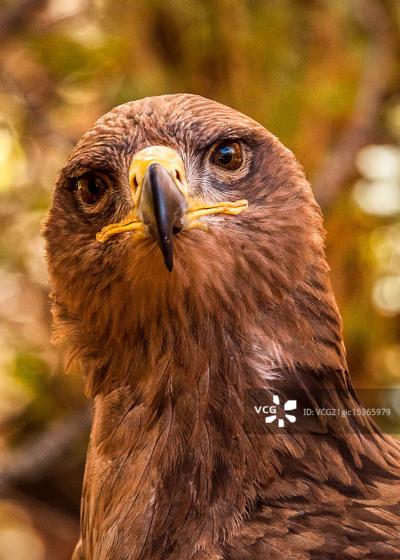 你在看谁图片素材