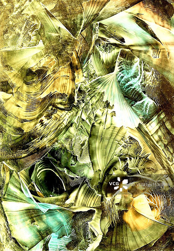 新黄金一瞥图片素材