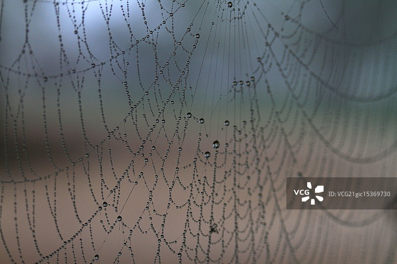 清晨的珠宝图片素材