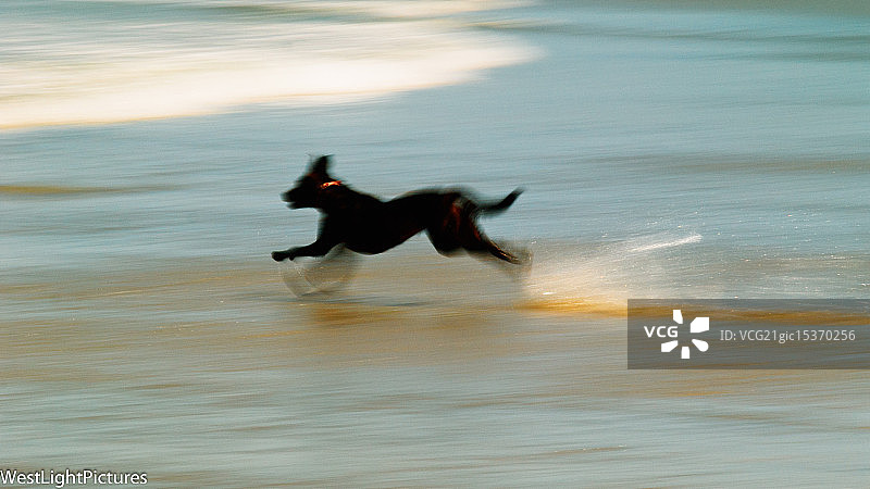 飞逝的风景图片素材