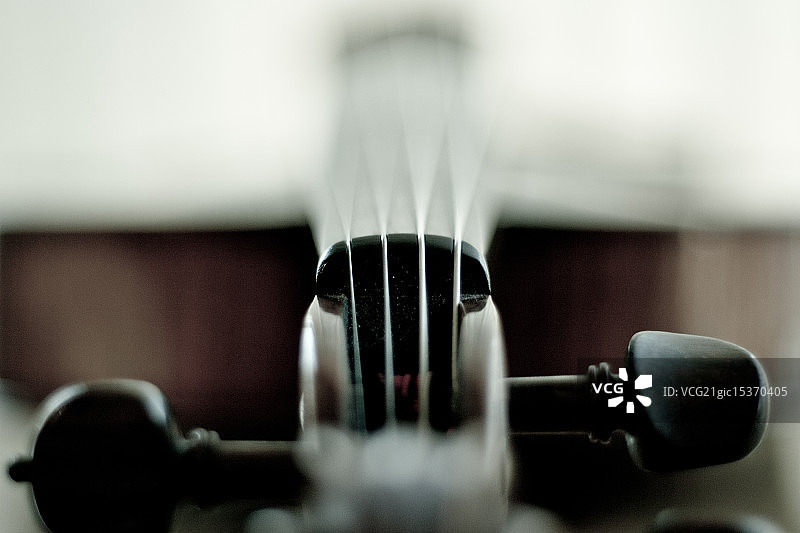 中提琴 Jan Pawlikovski图片素材