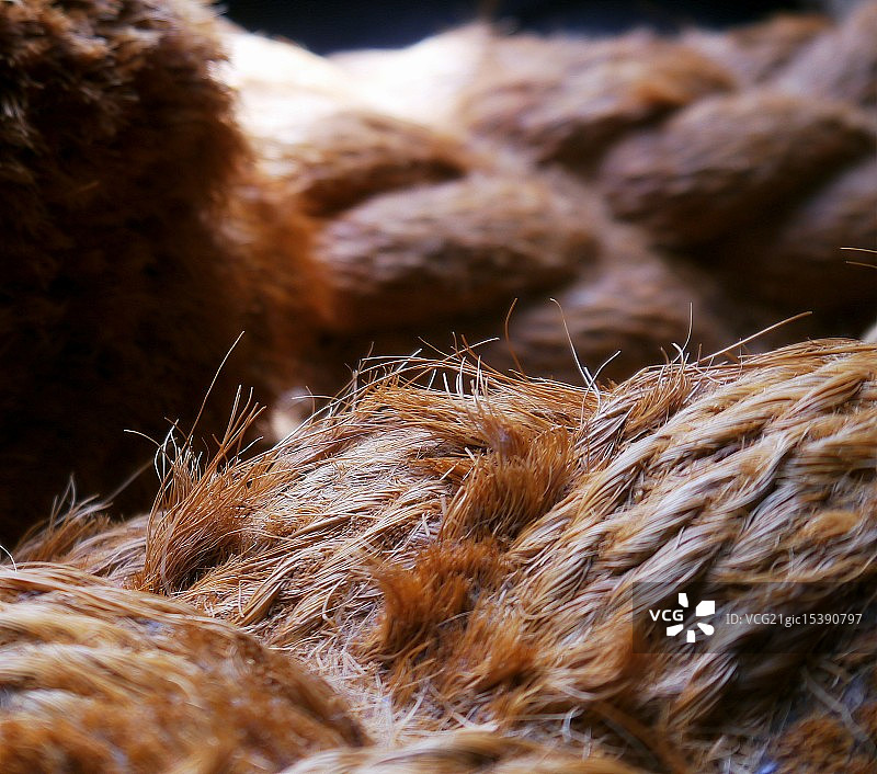 触动心弦图片素材