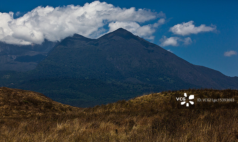 阿鲁沙国家公园图片素材