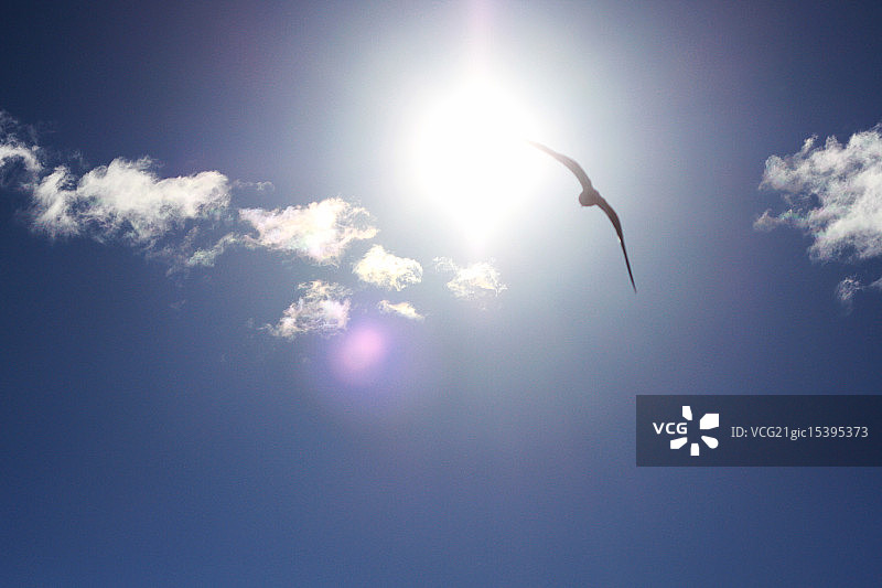 走向太阳图片素材