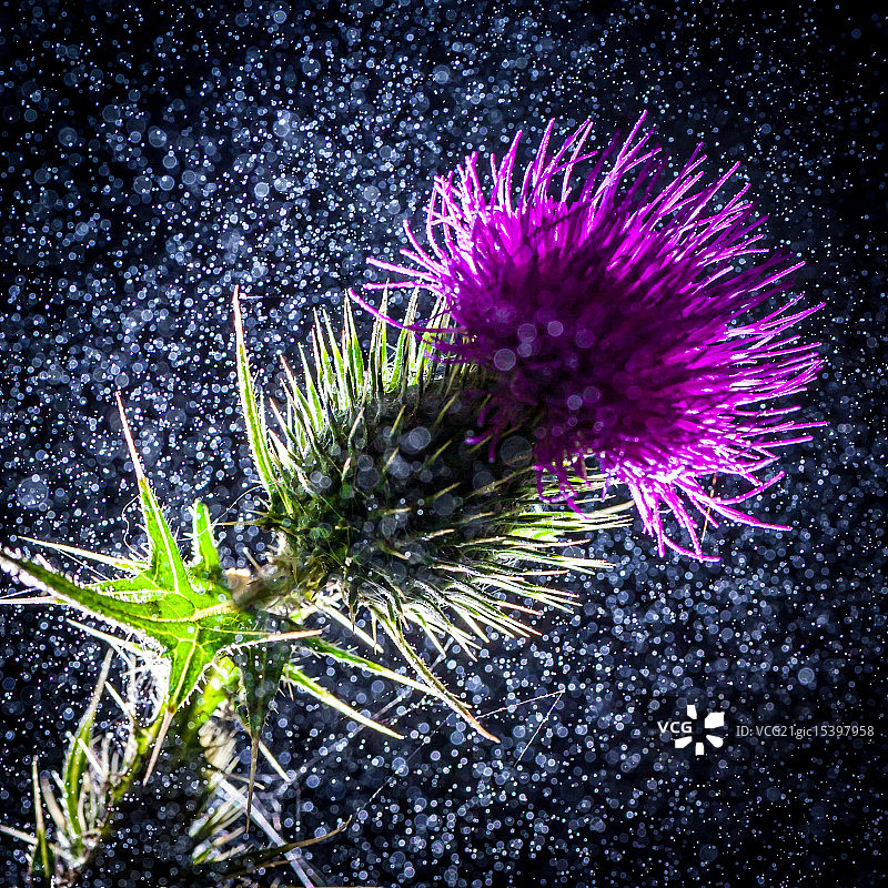 冰冻水滴图片素材