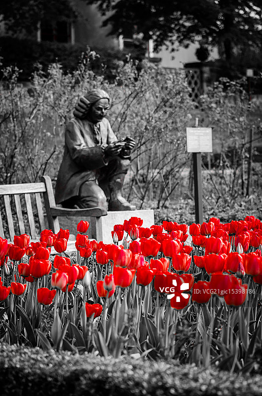 在斯堪森散步图片素材