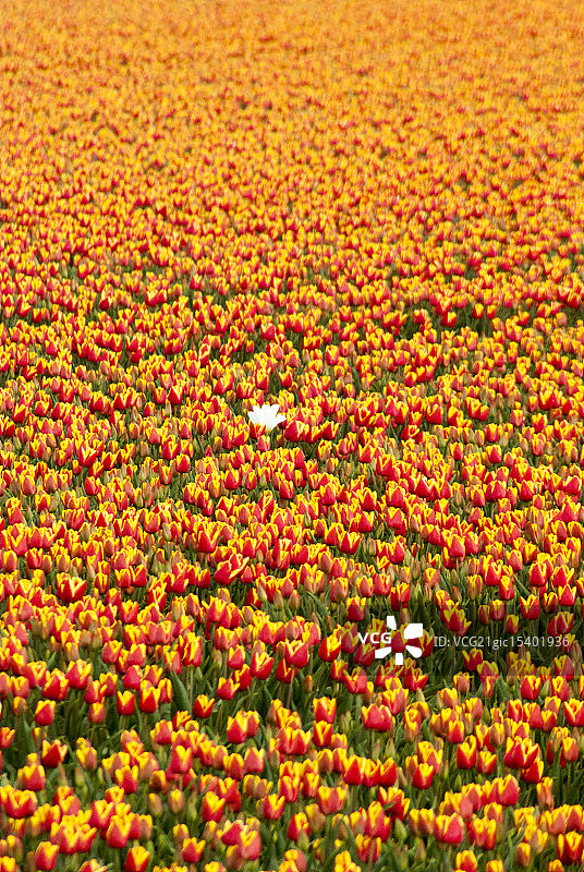 与众不同图片素材