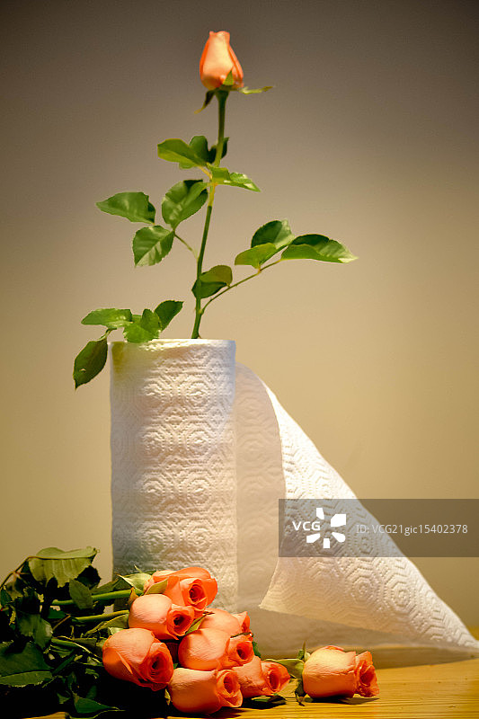 厨房用纸图片素材