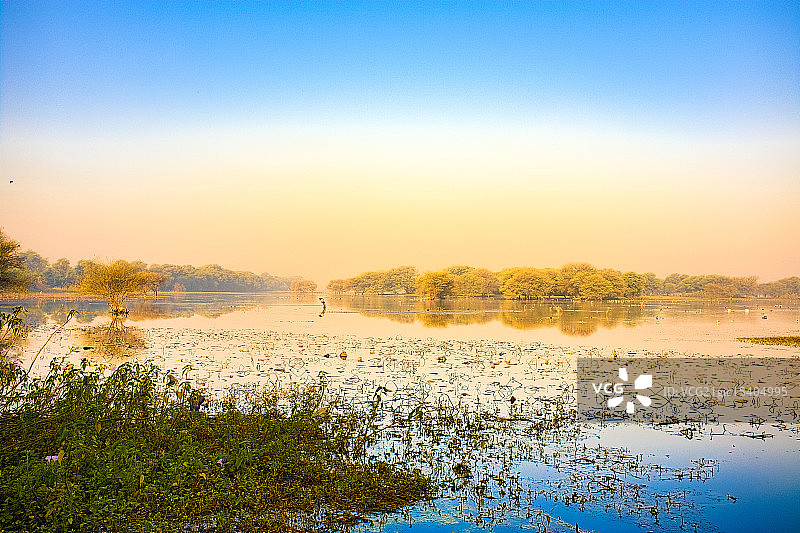 印度古吉拉特邦索尔野生动物保护区图片素材