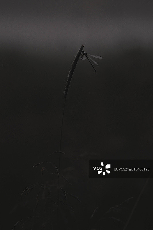 灰色调的夜晚图片素材