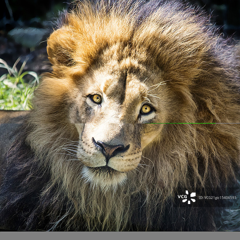 沐浴阳光图片素材