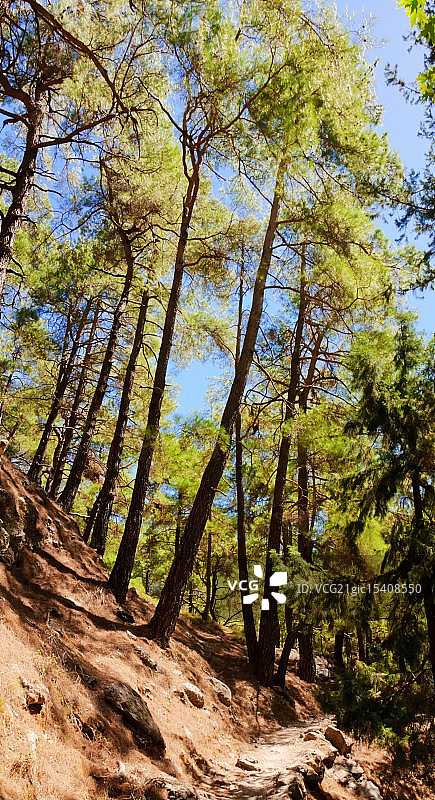 萨马利亚峡谷，克里特岛，希腊图片素材