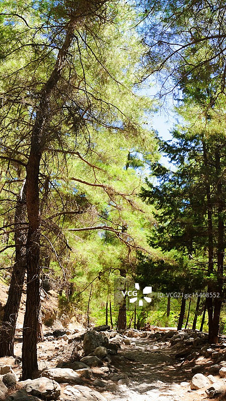 萨马利亚峡谷，克里特岛，希腊图片素材