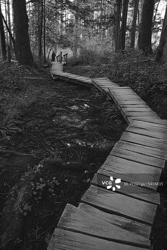 弗拉特里角木板路图片素材