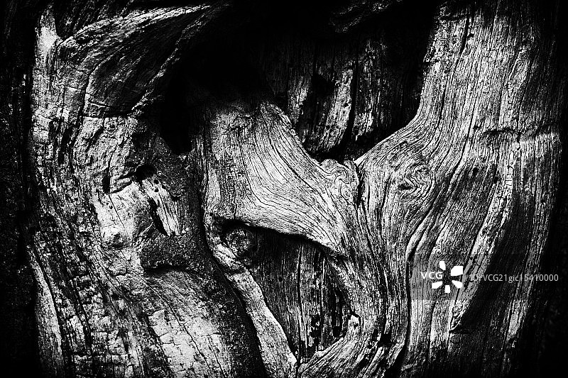 木材识别图片素材