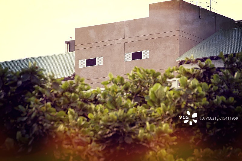 老大哥在看着你图片素材