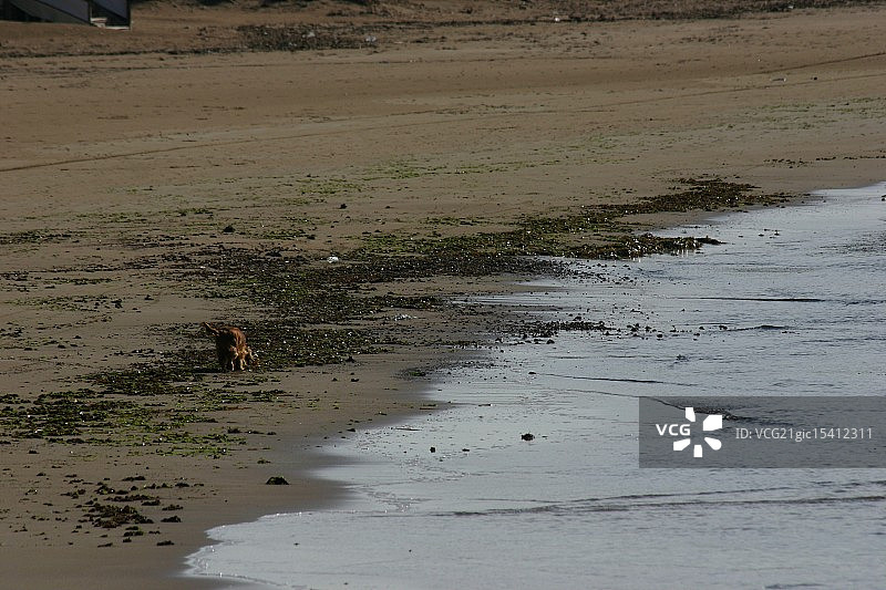 西西里岛海景图片素材