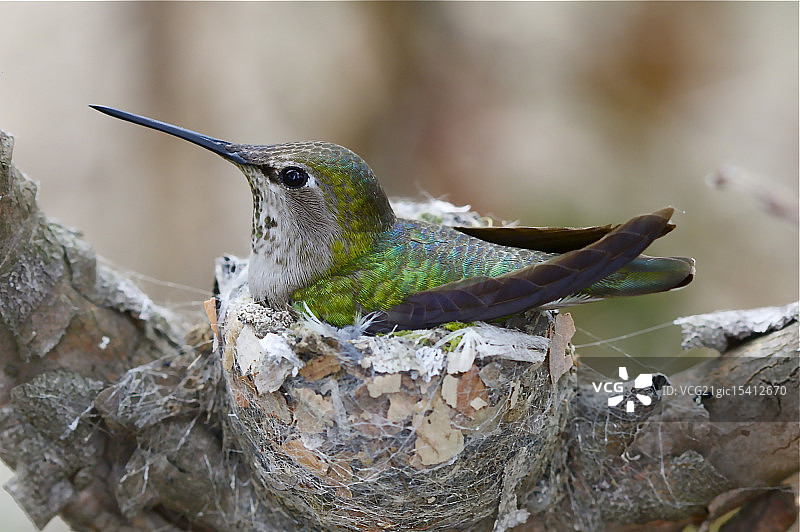 焦虑地等待图片素材