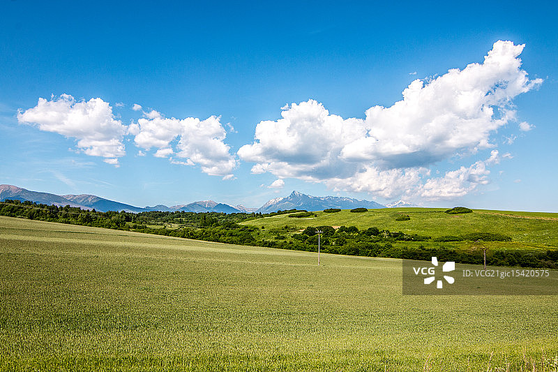 维索基塔特拉山图片素材