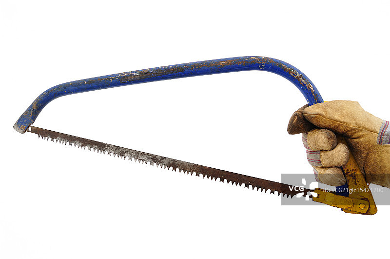 手持弓锯的园丁图片素材