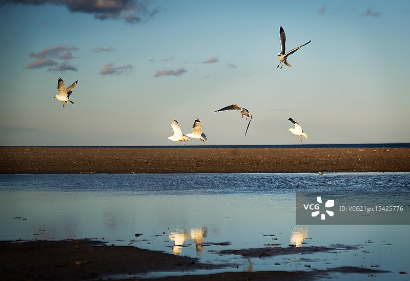 飞行倒影图片素材