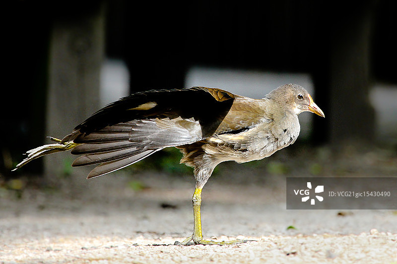 某种套头衫...图片素材