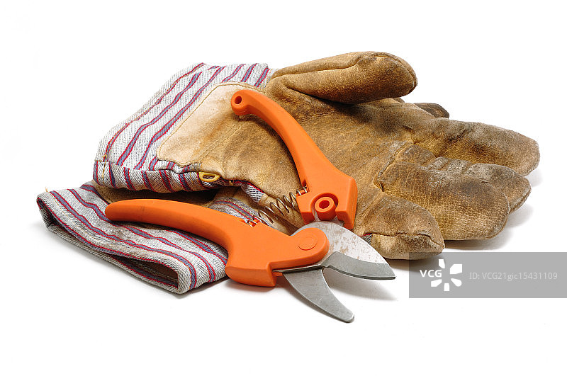 修枝剪和皮革手套图片素材