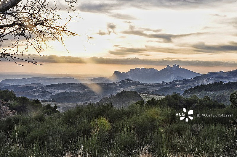 莱斯当泰莱斯图片素材
