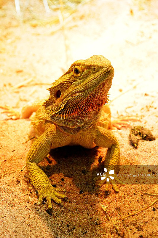 我是独一无二的！图片素材