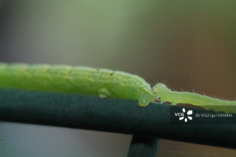 成为朋友图片素材