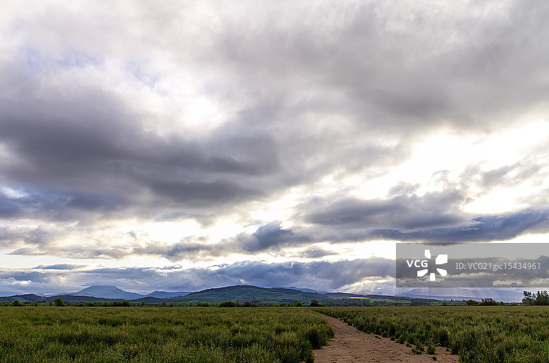 俄勒冈州科瓦利斯图片素材