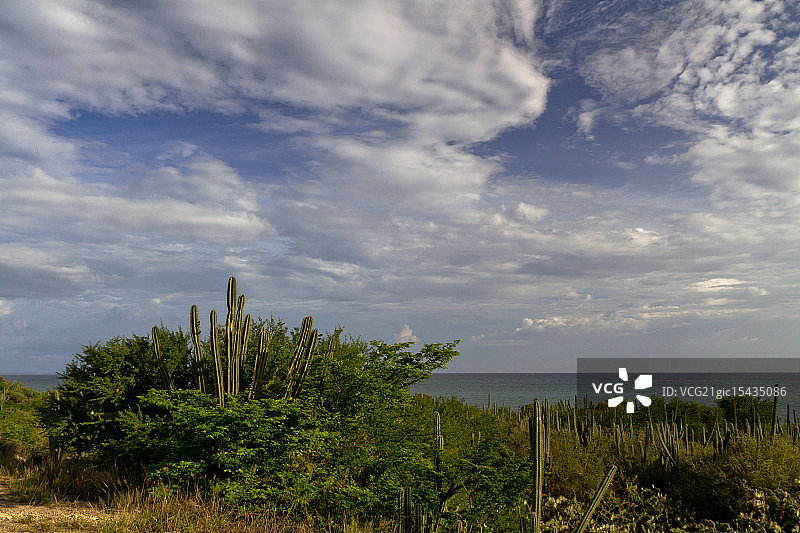委内瑞拉玛格丽塔岛图片素材