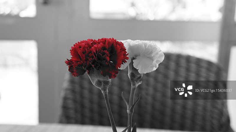 红色和白色图片素材