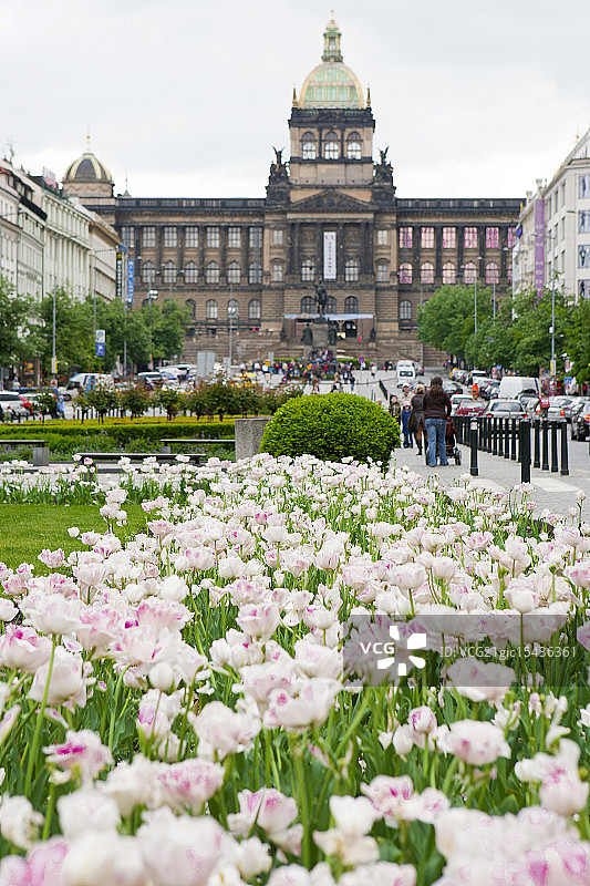 瓦茨拉夫广场图片素材