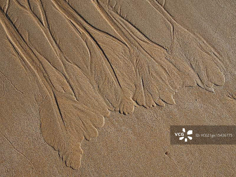 沙子树叶图片素材