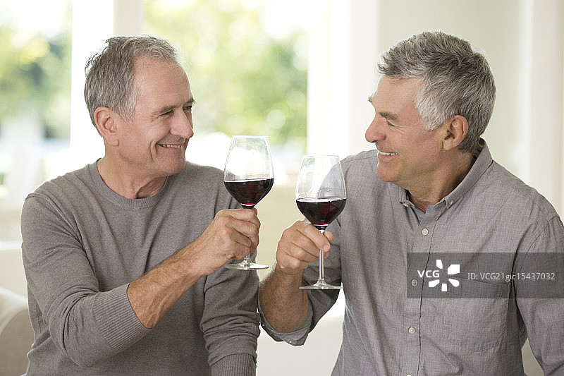 年长的男人们碰杯敬酒图片素材