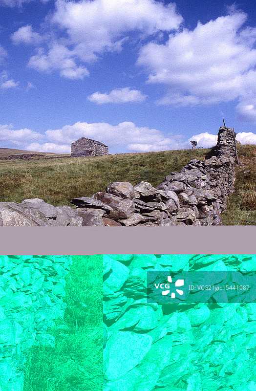 约克夏墙图片素材