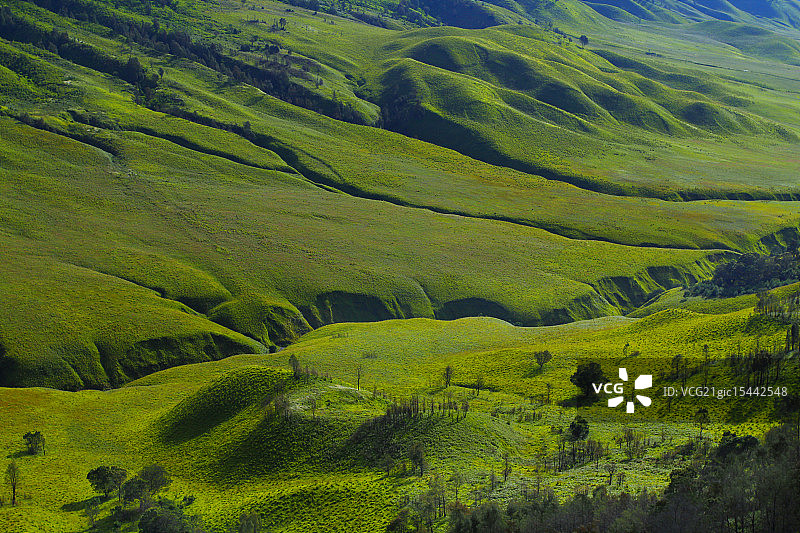 天线宝宝山图片素材