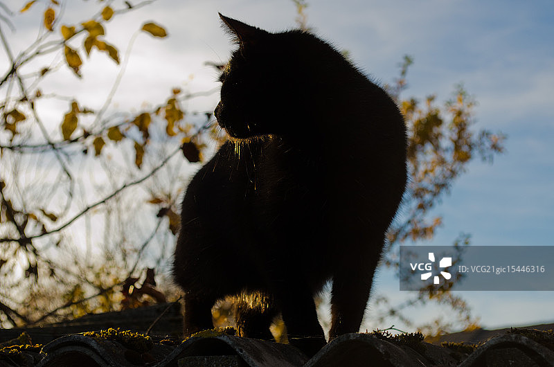 金色光芒图片素材